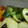 ぱんだにゃん's cooksnap of when they made きゅうりの塩昆布和え.