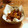 たけお2011's cooksnap of when they made 豚肉、筍、ピーナツの中華風炒め.