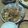とっしーのぶにゃん's cooksnap of when they made 豚大根オイスター炒め☆.