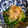 Ken09's cooksnap of when they made ほうれん草のお浸し.