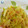 やんちゃんみーちゃん's cooksnap of when they made くったりキャベツとツナの和えもの.