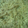 さくらレシピ's cooksnap of when they made 切干大根とツナの炒め物.