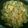ゆーひーぴょん's cooksnap of when they made パパッと作れちゃう！！ねぎ卵チャーハン☆.