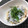 gatchamma's cooksnap of when they made 『しらすと炒り大豆の生姜ご飯』.