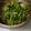 まみちぃ７'s cooksnap of when they made 万能☆ネギだれ(^^).
