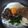 ペネロペ's cooksnap of when they made 簡単ビビンバ丼.