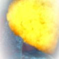 ❀ラクトアイス❀'s cooksnap of when they made キャラメルコーンな甘いクッキー♪.