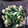 athenaeum's cooksnap of when they made 春野菜と鶏ささみのおかず炒め.