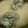mimimimizo-'s cooksnap of when they made 炊飯中に☆ゆでたまご♪♪.