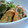 oBsession's cooksnap of when they made ☆ささみのレモン揚げ.