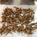 すいーつ姫's cooksnap of when they made 【手作りお節】田作り.