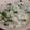 このみん家's cooksnap of when they made 給食の味再現！わかめご飯.