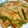 myumogumog's cooksnap of when they made ネギ焼きのチヂミ風.