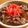 jltgaz's cooksnap of when they made 簡単おいしい豚丼.