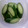 ちっくんママ's cooksnap of when they made ヨーグルトぬか漬け.