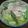 みずたく's cooksnap of when they made 圧力鍋さっぱりゆで豚　春キャベツを添えて.