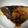 あぶちゃ☆'s cooksnap of when they made ブリの照り焼き♪.