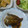 くれーぷやさん's cooksnap of when they made カレイの煮付け.