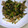 amjkao's cooksnap of when they made 豚ニラ☆生姜炒め.