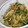 きらり流れ星's cooksnap of when they made 簡単！青菜の煮びたし.