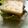 ♪cow♪'s cooksnap of when they made ハンバーグサンド.