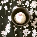 バウンド's cooksnap of when they made 春の桜のヨーグルトジェラート✿.