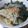 ちばたま's cooksnap of when they made パパッと簡単♪餃子スープ.
