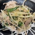 ぶーたーこー's cooksnap of when they made 豚ともやしとニラのオイスターソース炒め.