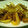 厨房ねこ's cooksnap of when they made ごはんが進む♪新たまねぎのカレー炒め.