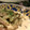 sasanoha65's cooksnap of when they made ☆簡単☆ホタテの生クリーム仕立て♪.