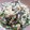 バーバラ☆'s cooksnap of when they made ほうれん草を茹でない＊ほうれん草の白和え.