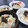 くらら♪☆'s cooksnap of when they made 鮭フレークにマヨ☆簡単！朝ごはん♪.