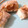 ★Sherry★'s cooksnap of when they made 簡単！巻いて揚げるだけ！豚肉の玉ネギ巻き.