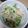 mari119's cooksnap of when they made ♦もやしとピーマンのめんつゆバター炒め♦.