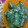 はっちぃ8's cooksnap of when they made 簡単いんげんのごまあえ.