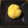 Ikeake's cooksnap of when they made さつまいもとりんごの食べるジャム.