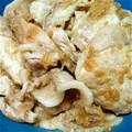 yucochi's cooksnap of when they made 旨い〜！林檎のすりおろしで豚生姜焼き☆.