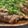 ゼックン's cooksnap of when they made 鳥もものソテー ネギ塩ソース.