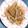 あざらしの赤ちゃん's cooksnap of when they made うどの皮のきんぴら.