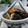 ぽっぽぺぺ's cooksnap of when they made 椎茸のしょうが焼き.