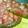 ティラノ〜's cooksnap of when they made 簡単♪ヘルシー苺タルトq(^-^q).
