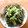 ryoko5's cooksnap of when they made かき菜のまろやか和え☆.