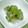 ととろ＆めい's cooksnap of when they made たけのこの木の芽和え♪.