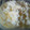 ユキニャー's cooksnap of when they made 簡単！卵無し！マシュマロでアイスクリーム.