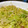 seika14's cooksnap of when they made チンするだけ！キャベツのザワークラフト☆.