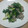 ハチコーン's cooksnap of when they made 豚肉の塩だれ炒め.