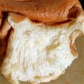 ゆうちゃんＺ's cooksnap of when they made ＨＢ早焼きでふわふわハイジの食パン.