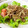 きららっち's cooksnap of when they made 牛肉とごぼうのうま煮.