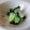 はべん's cooksnap of when they made はくさいのお浸し.