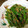 koko13nobu's cooksnap of when they made 小鉢料理＊いんげんのゴマ和え.